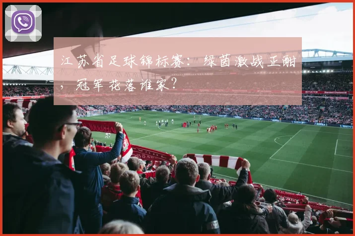 江苏省足球锦标赛:绿茵激战正酣,冠军花落谁家?
